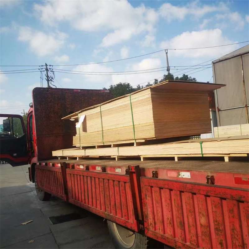 来宾到河北物流公司——一站式服务，让货运更便捷